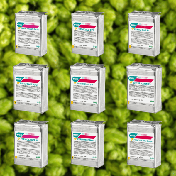 Primary Fermentation