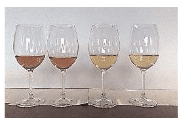 Figure 1. A fining study conducted on a Sauvignon Blanc, oxidized
juice. Looking at fining on juice verses wine.
Wine 1 – Control - No fining treatment.
Wine 2 – Fining after fermentation - POLYMUST® PRESS 300 ppm.
Wine 3 – Fining before fermentation - POLYLACT® 300 ppm.
Wine 4 – Fining before fermentation - POLYMUST® PRESS 300 ppm.