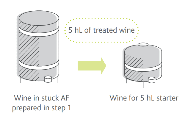 Preparation of the yeast inoculum