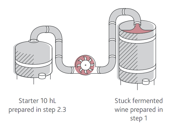 Incorporation of yeast inoculum in the tank