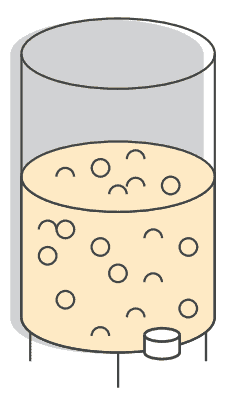 Fermentation