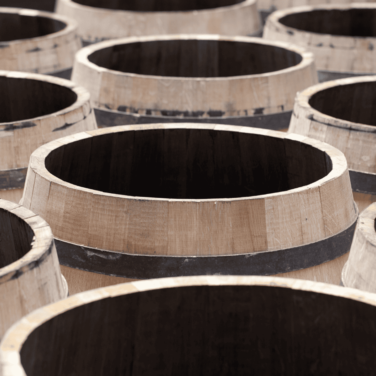 demptos tonnellerie barrels demptos tonnellerie barrels