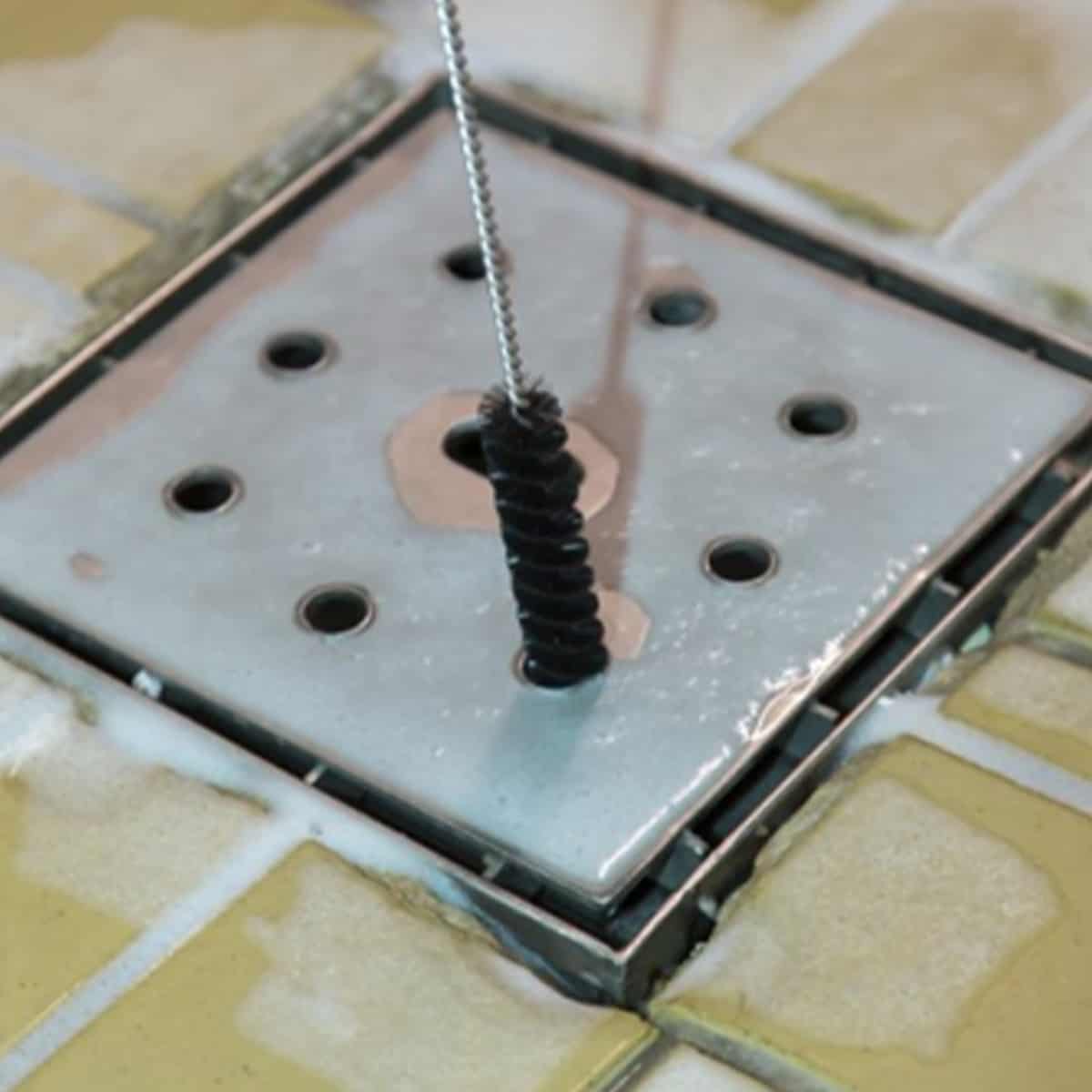 tube & valve brush, 0.8" medium white tube & valve brush, 0.8" medium white