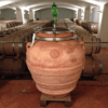 wine amphoras wine amphoras